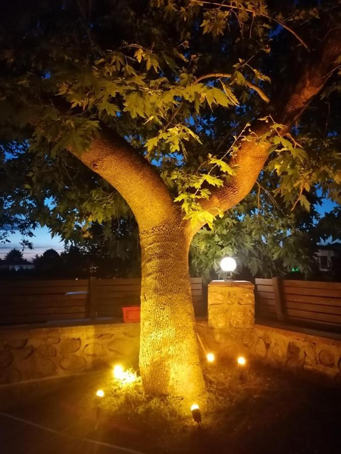 Vital Home Sapanca Isitmali Havuzlu Villa&Bungalov Dış mekan fotoğraf